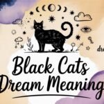 black cats dream meaning