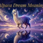 Alpaca Dream Meaning