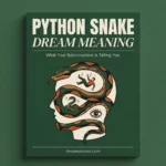 Python Snake Dream Meaning