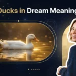 White duck floating serenely on golden water illustrating ducks in dream meaning for psychological insights.