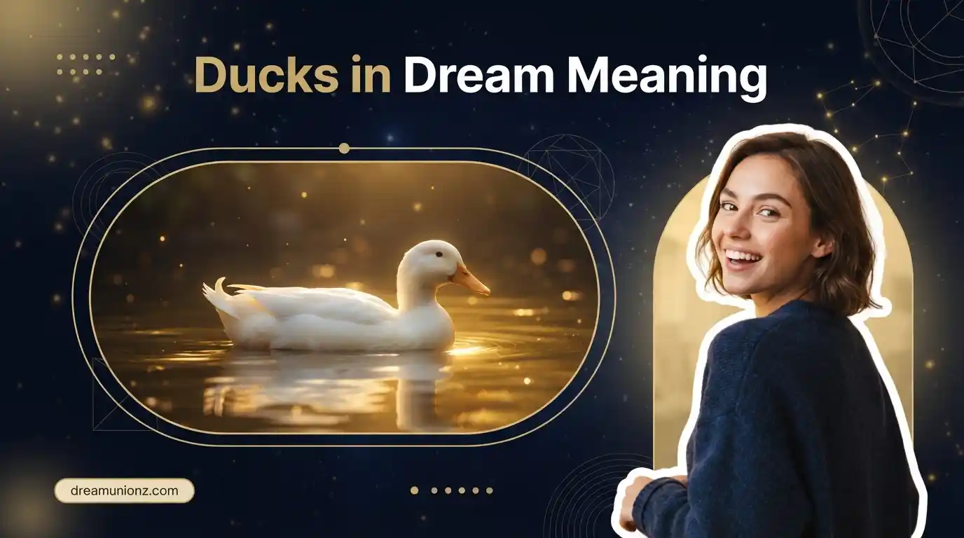 White duck floating serenely on golden water illustrating ducks in dream meaning for psychological insights.