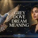 Woman in peaceful emotional realization beside a massive spread-winged grey dove capturing grey dove dream meaning.