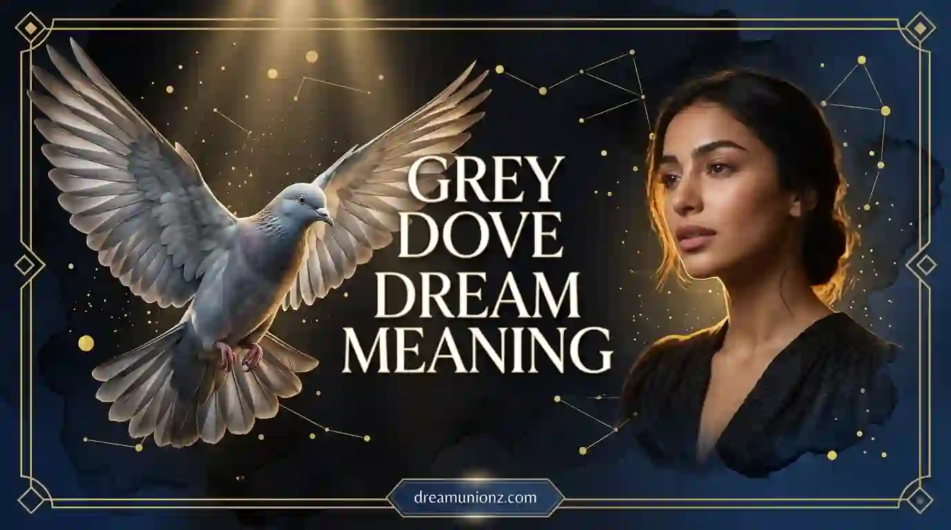 Woman in peaceful emotional realization beside a massive spread-winged grey dove capturing grey dove dream meaning.