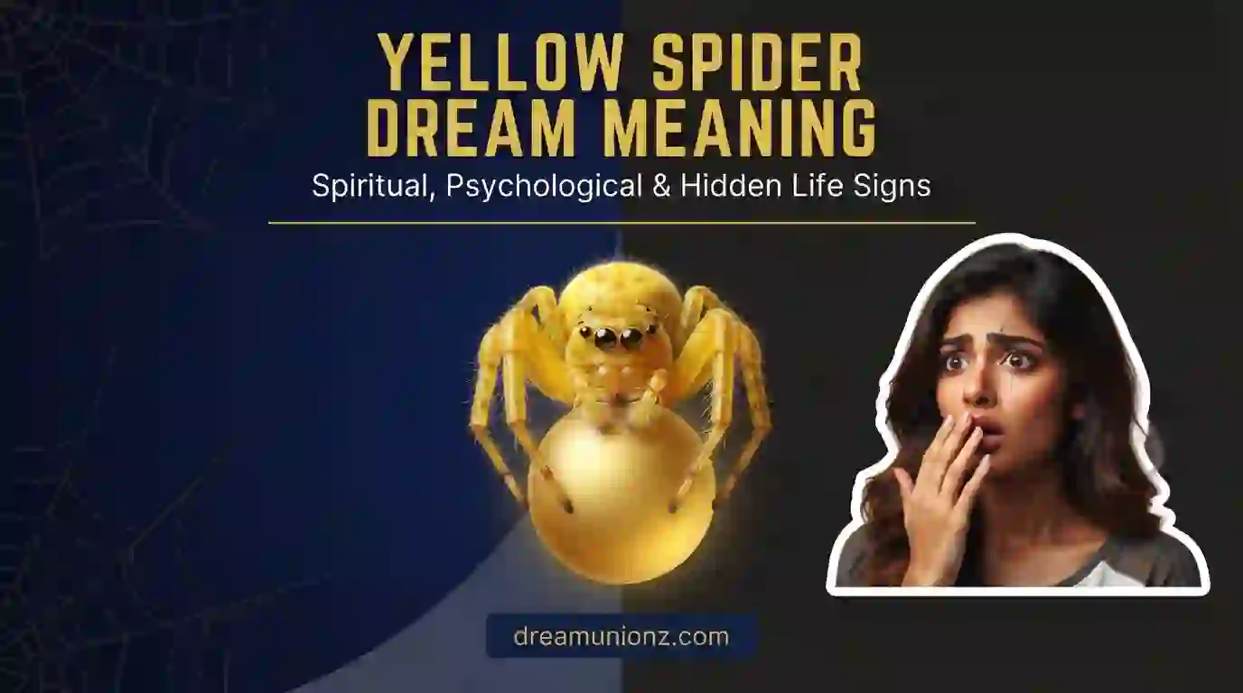 Yellow spider dream meaning complete guide featuring woman with expression of awe and spiritual realization.